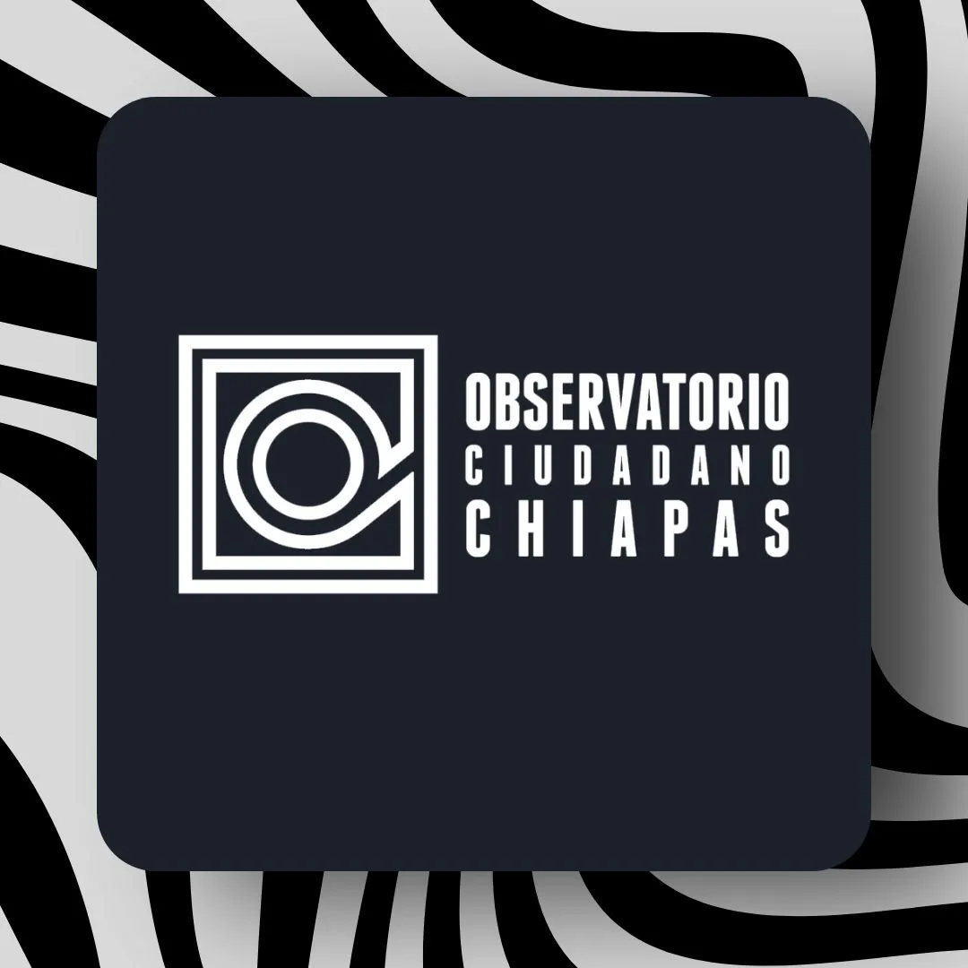 Portada con ondas de color gris y negro con el texto: Observatorio ciudadano de Chiapas 